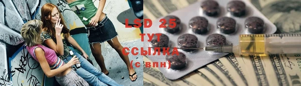 дживик Осинники