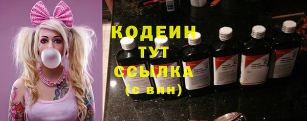 дживик Осинники