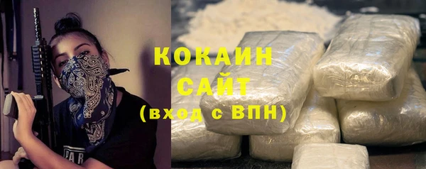 дживик Осинники