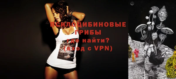 дживик Осинники