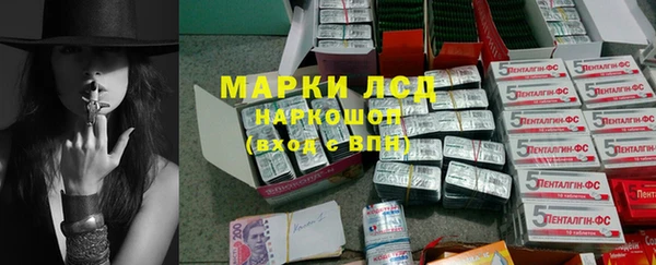 дживик Осинники