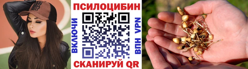 Галлюциногенные грибы MAGIC MUSHROOMS Куса